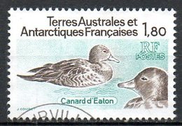 TAAF. N°98 Oblitéré De 1982. Canard D'Eaton. - Faune Antarctique