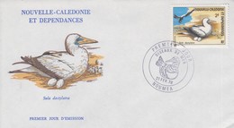 Enveloppe  FDC  1er Jour   NOUVELLE CALEDONIE    Oiseau  :  Fou   1976 - FDC