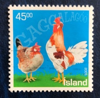 Polli D'Islanda - Icelandic Chickens - Gebruikt