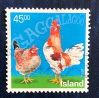 Polli D'Islanda - Icelandic Chickens - Gebruikt
