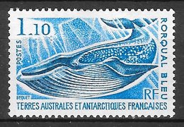 Mammifère - TAAF N°64 Mammifère Marin Cétacé Baleine Rorqual 1977 ** - Baleines