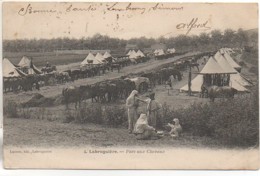 81  LABRUGUIERE  Parc Aux Chevaux - Labruguière