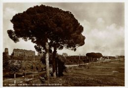 ITALIE - Rome - Via Appia - Acquedotti Di Claudio - Aqueduc - Other & Unclassified