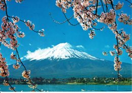 JAPON - Mont Fuji And Cherry Blossoms - Les Cerisiers En Fleurs - Autres & Non Classés