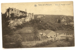 1 - Vallée De La Molignée - Ruines De Montaigle Et Scierie - Onhaye