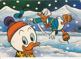 Thèmes > Disney  Donald Avec Un De Ses Neveu Sur La Glace - Autres & Non Classés