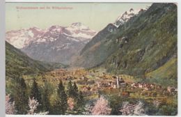 (48512) AK Wolfenschiessen, Panorama, Wildgeissberge 1912 - Wolfenschiessen