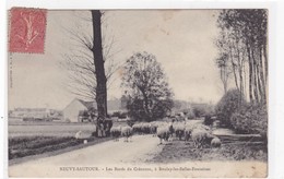 NEUVY-SAUTOUR  - Les Bords Du Créanton, à Boulay Les Belles Fontaines - Neuvy Sautour