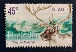 Renna - Reindeer "Rangifer Tarandus" - Gebruikt