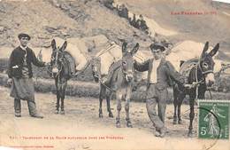 Non Localisé Divers      31         Transport A Dos D'âne De La Glace Naturelle Dans Les Pyrénées           (Voir Scan) - Autres & Non Classés