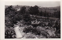 AK Kipsdorf - Panorama (49647) - Kipsdorf