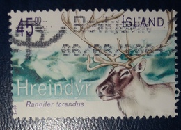 Renna - Reindeer "Rangifer Tarandus" - Usati