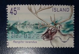 Renna - Reindeer "Rangifer Tarandus" - Gebruikt