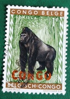 Gorille (Singe/Animaux) - République Du Congo - 1960 - YT 404 - Oblitérés