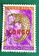 Pangolin Géant (Animaux) - Congo Belge - 1960 - YT 410 - Oblitérés