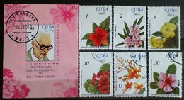 CUBA 1977 Tomas Roig Used Stamps+sheet - Collections, Lots & Series