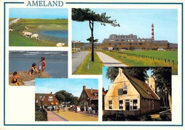 Ameland - Multivues - Ameland