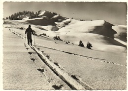NESSLAU KRUMMENAU Auf Der Wolzenalp Ski-Läufer - Krummenau