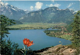 Weesen Am Walensee (172) * 14. 6. 1966 - Weesen