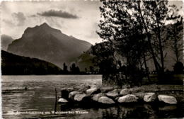 Abendstimmung Am Walensee Bei Weesen (2527) * 23. 8. 1952 - Weesen