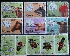 CUBA 1971-75 Veterinaria Medicina Useed Stamps - Collezioni & Lotti