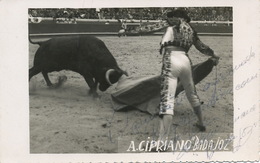 Real Photo Autograph Antonio Cipriano Badajoz Born In Coruche . Torero. Corrida . - Santarem