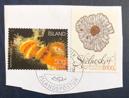 Ecosistema Fondo Marino E Vegetazione. Seabed Ecosystem "acesta Escavata" & Wild Icelandic Vegetation "placopsis Gelida" - Used Stamps