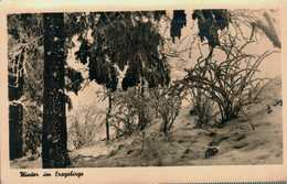 Winter Im Erzgebirge - Jöhstadt