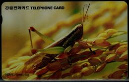 SOUTH KOREA 1996 PHONECARD INSECTS USED VF!! - Otros & Sin Clasificación