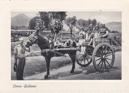 Cpsm 10X15 . ITALIE . Carro  Siciliano ( Très Beau  Plan ) - Autres & Non Classés