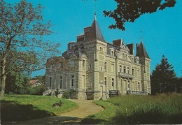 Orvault (44)  Le Chateau De La Gobiniere - Orvault