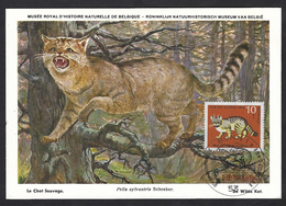 Germania, Germany Deutschland 1968; Felis Sylvestris, Maximum Card Du U Musée Royal D’ Histoire Naturelle. - Katten