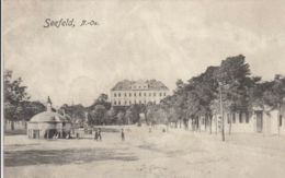 AK - NÖ -SEEFELD (Bez. Hollabrunn) - Kaiser-Franz-Joseph-Brunnen Mit Schloss 1917 - Hollabrunn