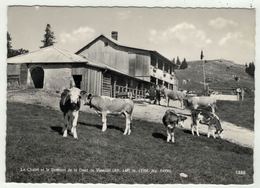 Suisse // Schweiz // Switzerland // Vaud // Le Chalet Et Le Sommet De La Dent De Vaulion - Vaulion