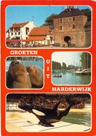 Harderwijk - Multivues - Harderwijk