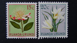 Ruanda-Urundi - 1953 - Mi:RW-U 134,135 Sn:RW-U 115,116 Yt:RW-U 178,179**MH - Look Scan - Ungebraucht