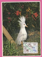 Carte Maximum - Oiseaux - Nouvelle Calédonie - Le Cagou 1982 - Maximumkarten