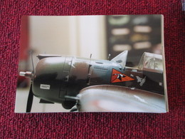 CAGI3 Format Carte Postale Env 15x10cm : SUPERBE (TIRAGE UNIQUE) PHOTO MAQUETTE PLASTIQUE 1/48e CURTISS HAWK 75A ARMEE D - Avions