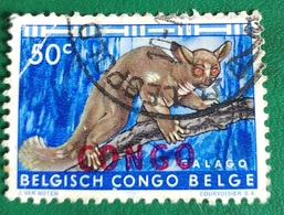 Galago (Animaux) - République Du Congo - 1960 - YT 403 - Oblitérés