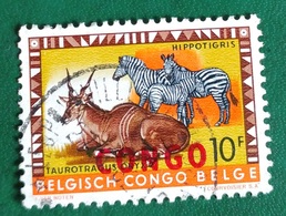 Taurotragus Oryx/Éland/Hippotigris/Zébre (Animaux) - Congo Belge - 1960 - YT 411 - Gebraucht