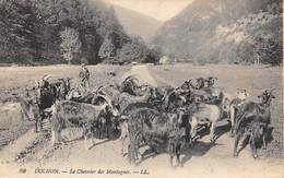 Luchon Superbagnères       31       Le Chevrier Des Montagnes             (Voir Scan) - Luchon