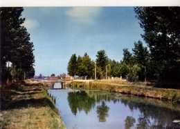 41 NOYERS SUR CHER Sur Les Bords Du Canal - Noyers Sur Cher