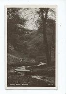 Postcard Yorrkshire Bradford Posted 1916 Ish Rp Heaton Woods - Bradford