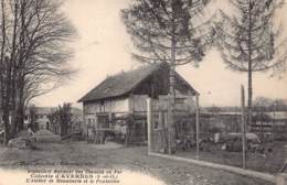 95 - Val D'Oise - 10041 A - AVERNES - Orphelinat  - Atelier Et Poulaillier - Avernes