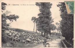 95 - Val D'Oise - 10175 - LOUVRES - Route Des Carrières - Louvres