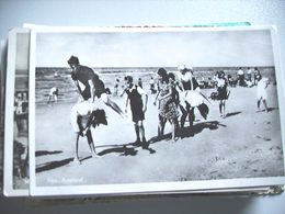 Nederland Holland Pays Bas Ameland Nes Met Bokjespringers Op Strand - Ameland