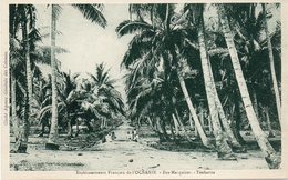 Etablissements Français De L'Océanie ; Iles Marquises . Teabaroa . - Polynésie Française