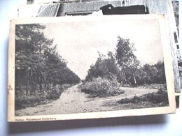 Nederland Holland Pays Bas Holten Bosrijke Holterberg Wandelpad - Holten