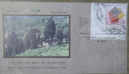 Tea, Tea Leaf, Tea Garden, Darjeeling, Postmark, India, Agriculture - Autres & Non Classés