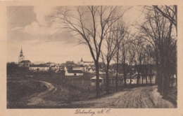 AK - NÖ -DOBERSBERG (Waldviertel) - Blick Vom Kreuzungspunkt Auf Den Ort 1919 - Waidhofen An Der Thaya